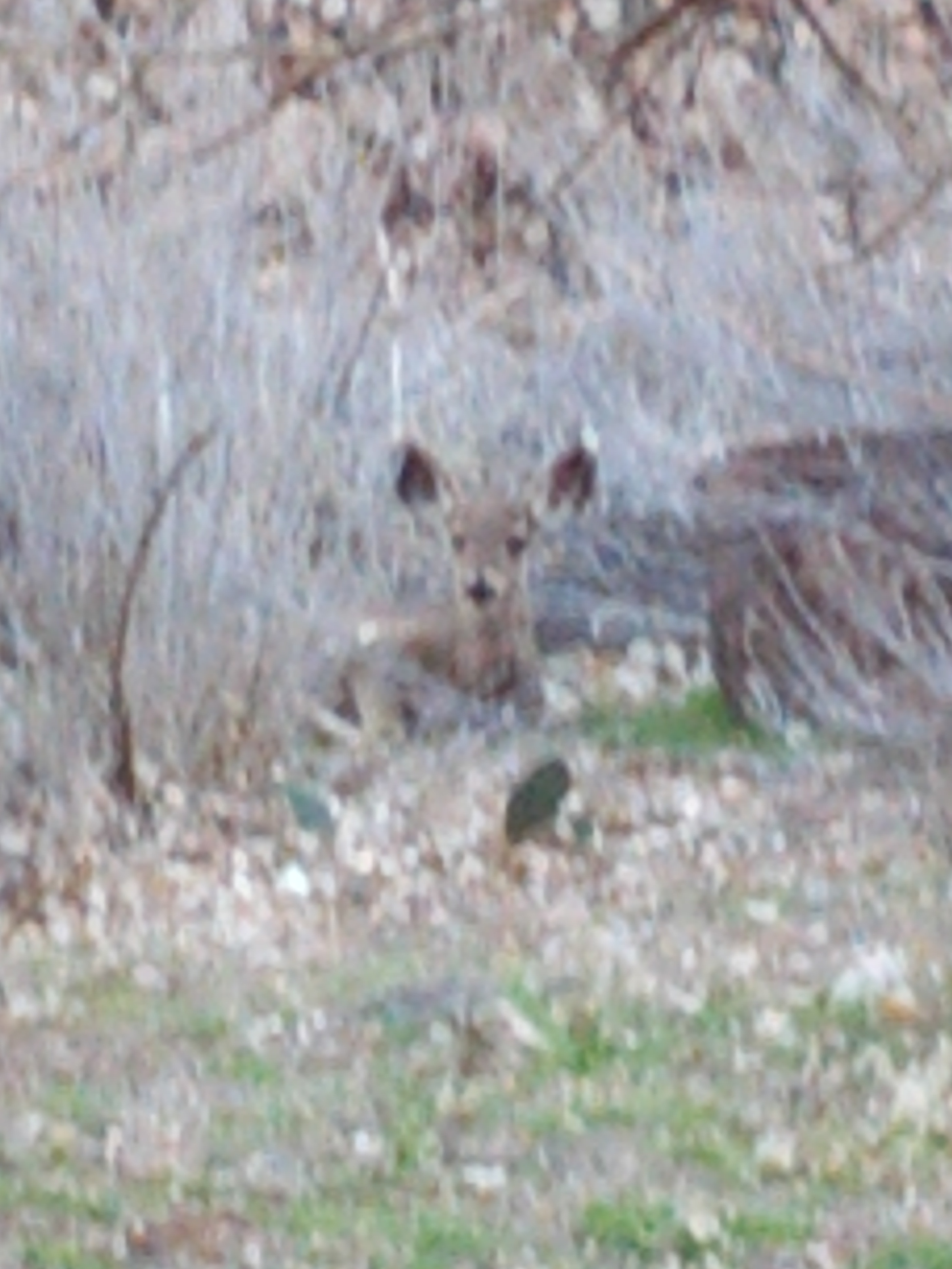 IMG_20130316_165000.jpg